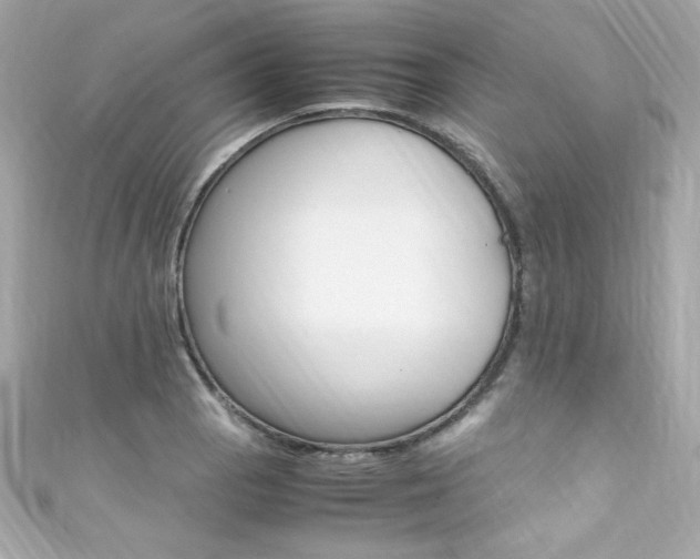 X0000111601129200907161208