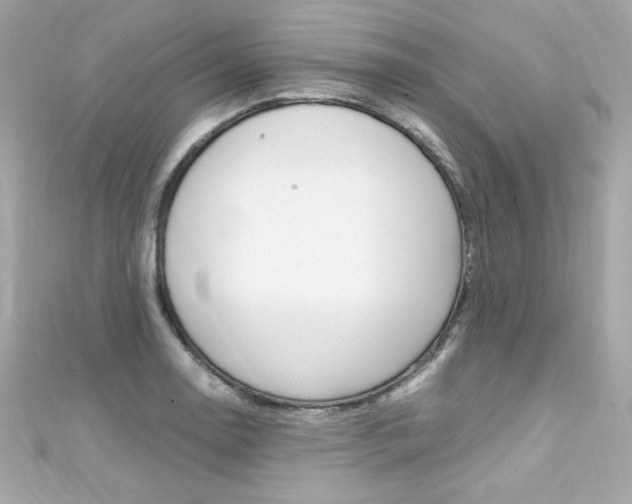 X0000111601130200907161208