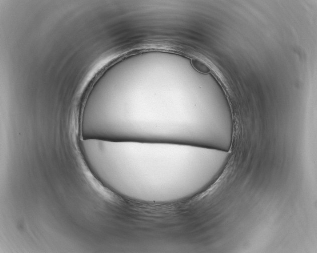 X0000111601131200907161208