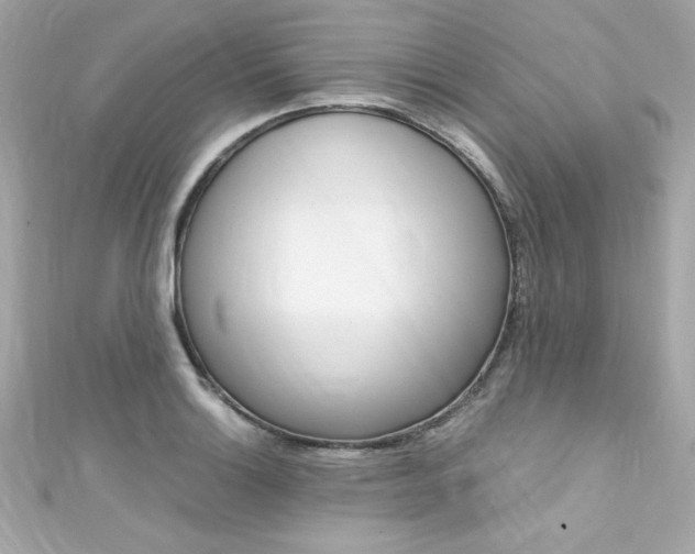 X0000111601132200907161208