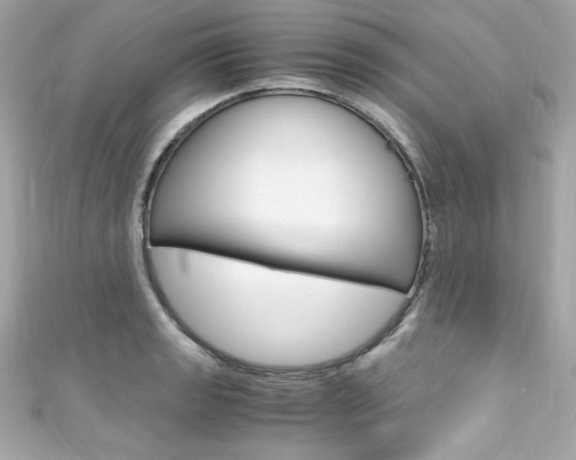 X0000111601133200907161208