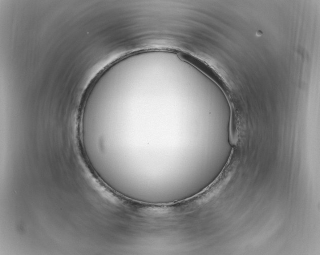 X0000111601134200907161208