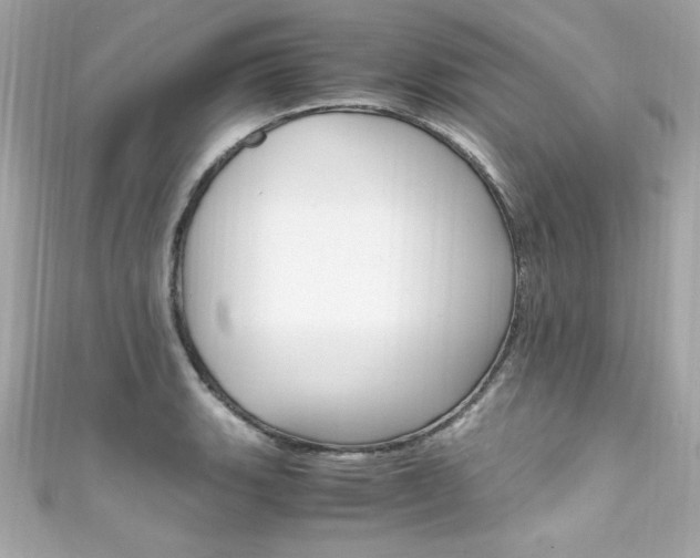 X0000111601135200907161208