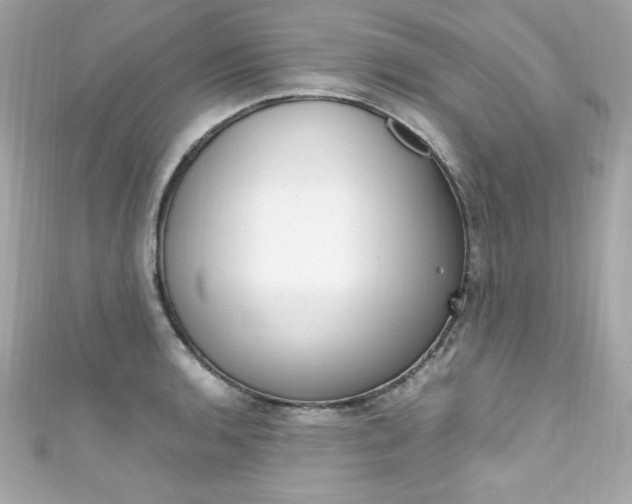 X0000111601136200907161208