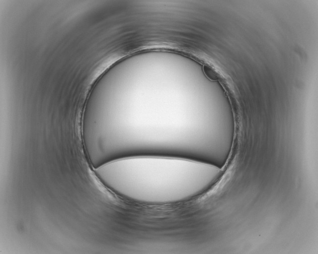 X0000111601137200907161208