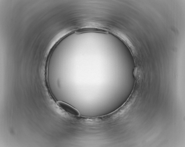 X0000111601138200907161208