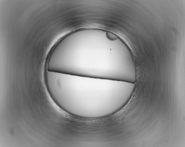 X0000111601139200907161208