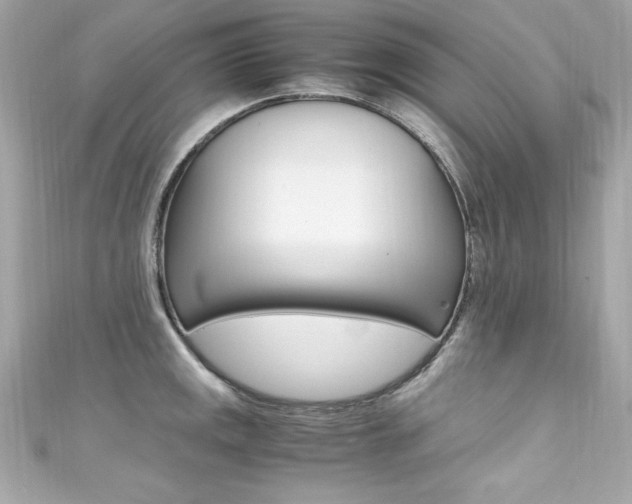 X0000111601141200907161208