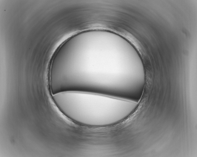 X0000111601142200907161208