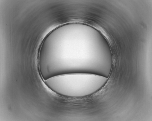 X0000111601143200907161208