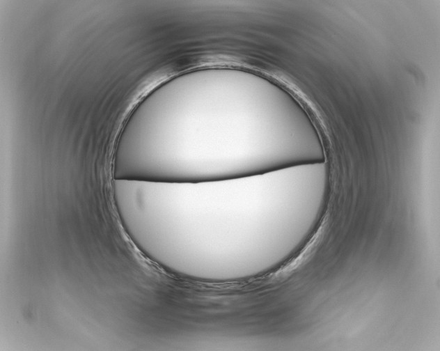 X0000111601145200907161208