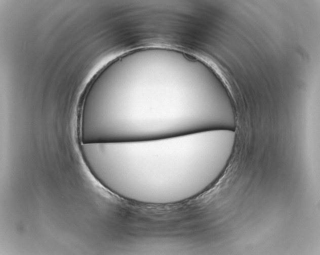 X0000111601147200907161208