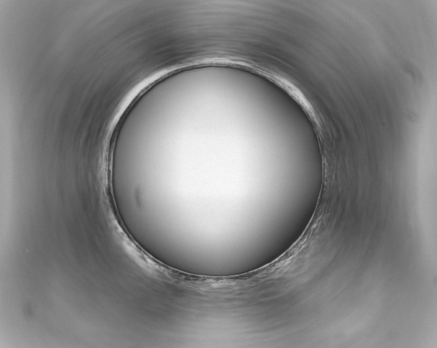 X0000111601148200907161208