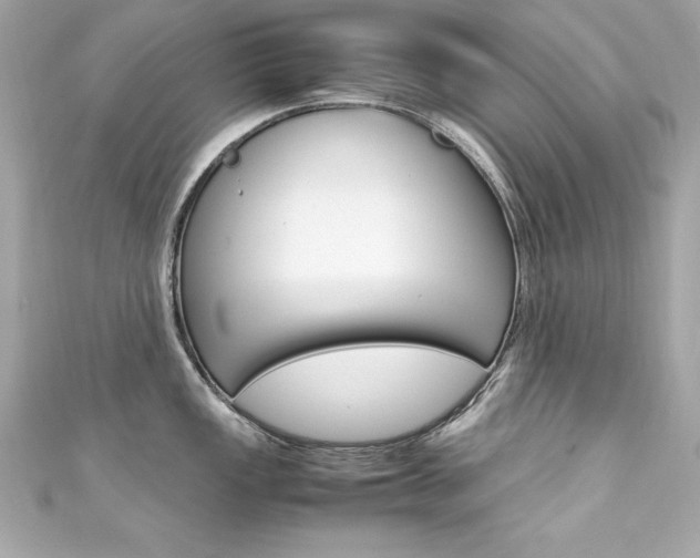 X0000111601149200907161208
