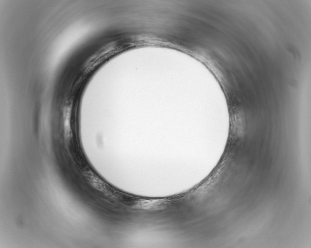 X0000111601150200907161208