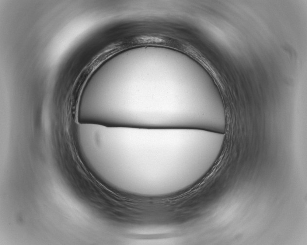 X0000111601151200907161208