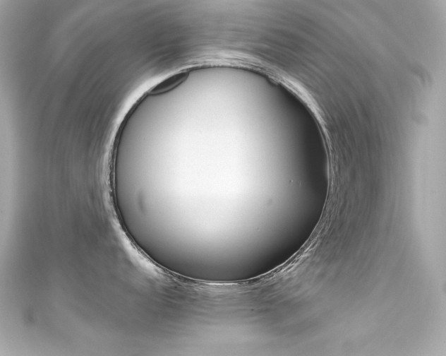 X0000111601152200907161208