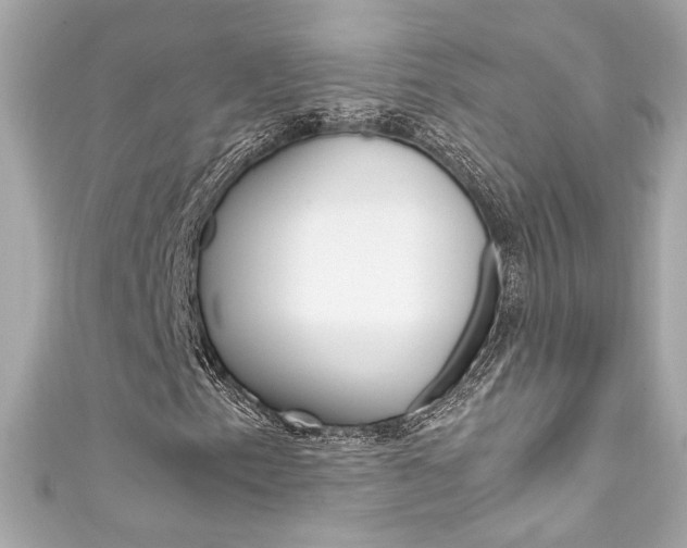 X0000111601153200907161208