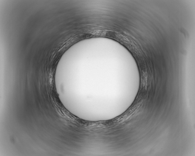X0000111601154200907161208