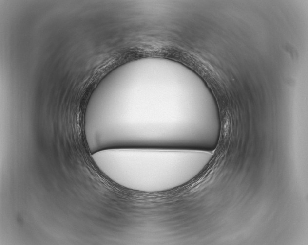 X0000111601156200907161208