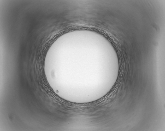 X0000111601157200907161208