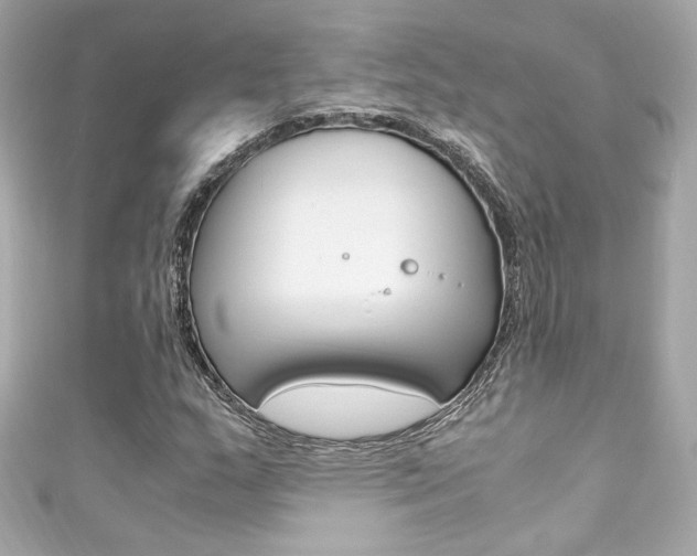 X0000111601159200907161208