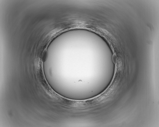 X0000111601161200907161208
