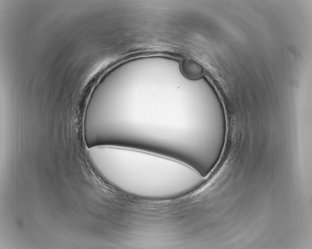 X0000111601163200907161208