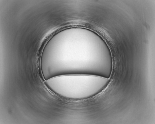 X0000111601164200907161208