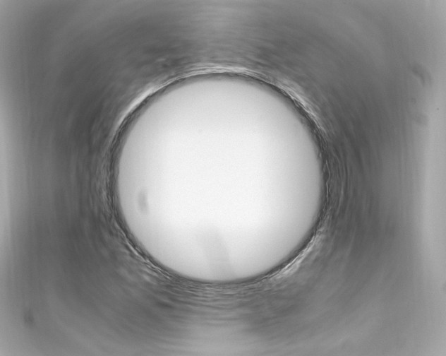 X0000111601165200907161208