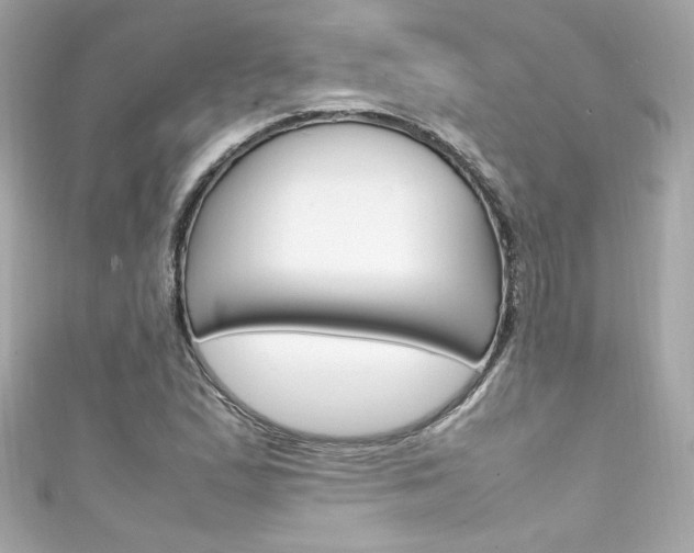 X0000111601167200907161208