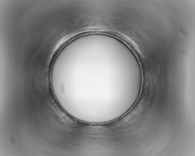 X0000111601168200907161208