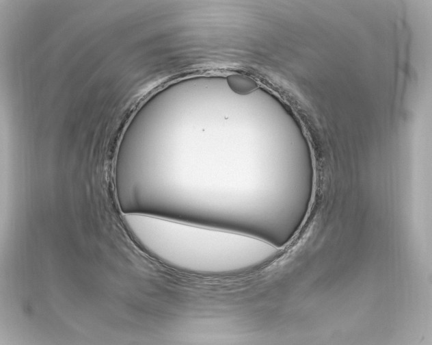 X0000111601169200907161207