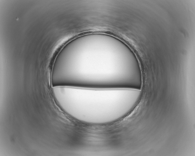 X0000111601171200907161207
