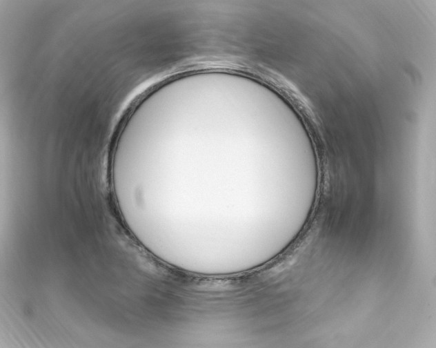 X0000111601174200907161207