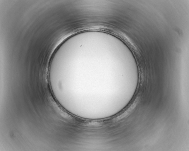 X0000111601178200907161207
