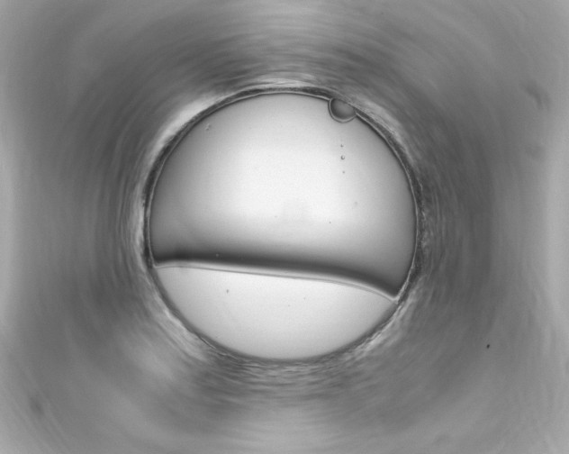 X0000111601179200907161207