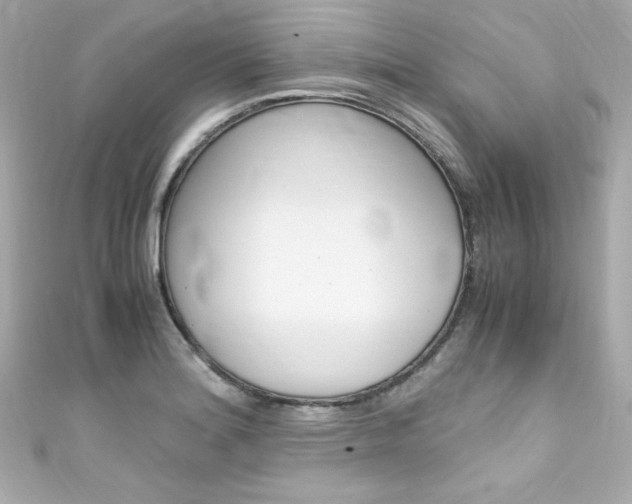 X0000111601180200907161207