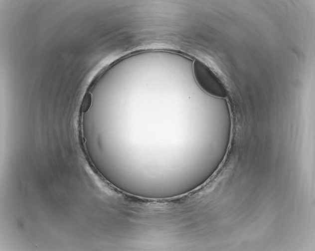 X0000111601181200907161207