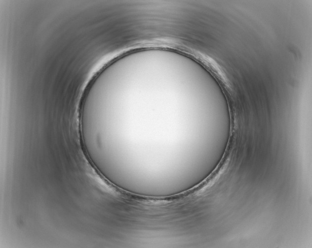 X0000111601184200907161207