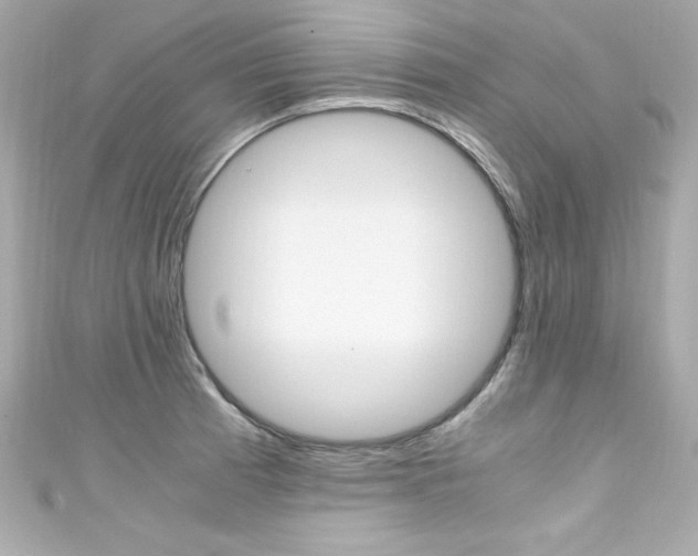 X0000111601185200907161207