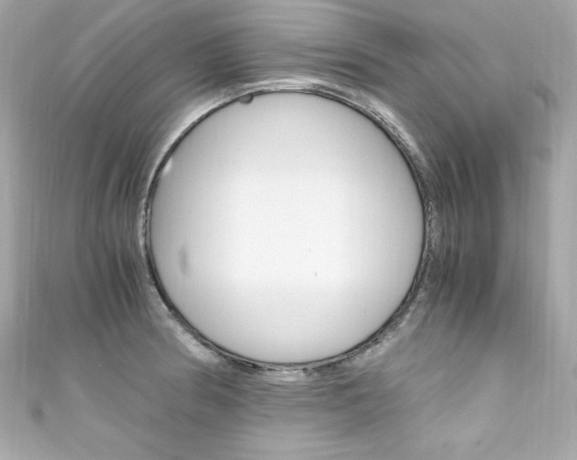 X0000111601186200907161207