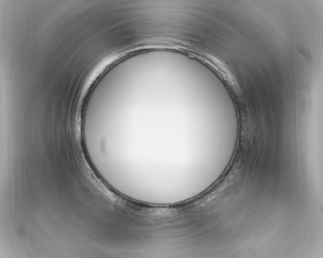 X0000111601188200907161207