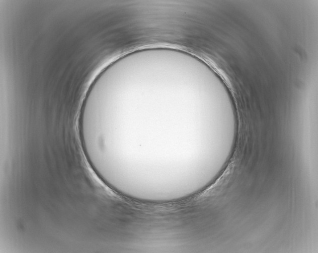 X0000111601189200907161207