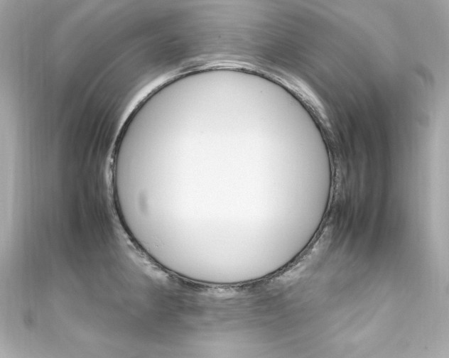 X0000111601190200907161207