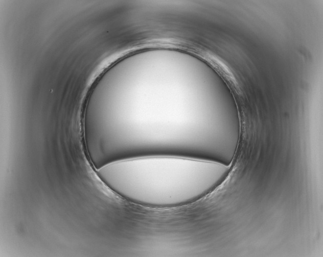 X0000111601192200907161207