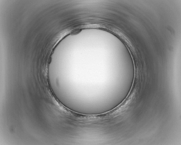 X0000111601193200907161207