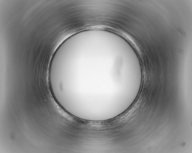 X0000111601194200907161207