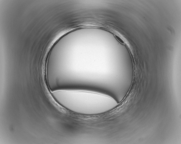 X0000111601195200907161207