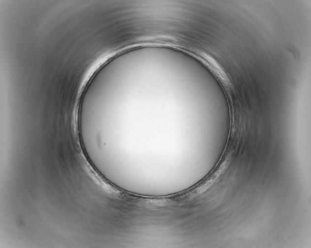 X0000111601196200907161207